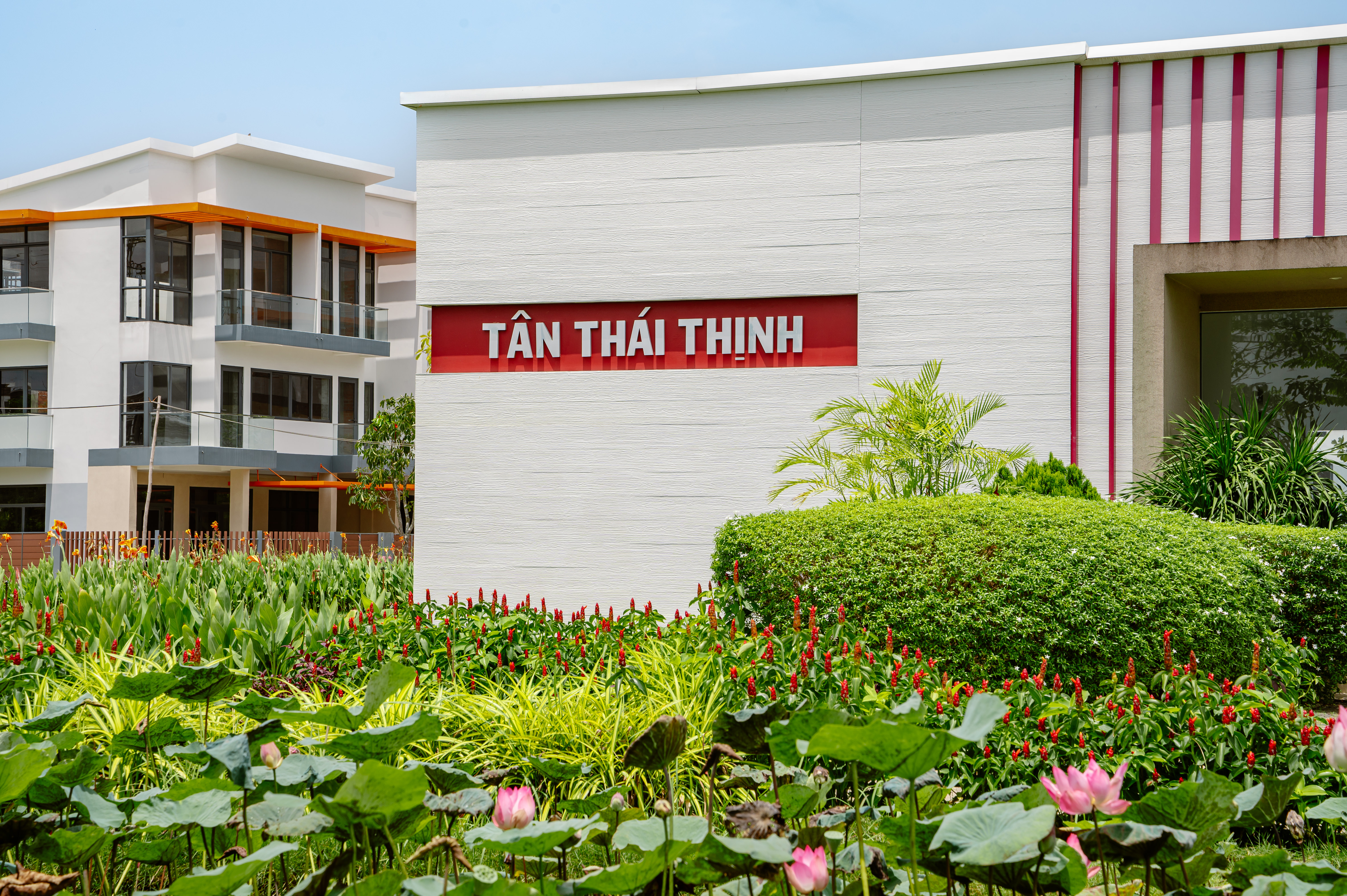 Đâu là lựa chọn đúng đắn lúc này?