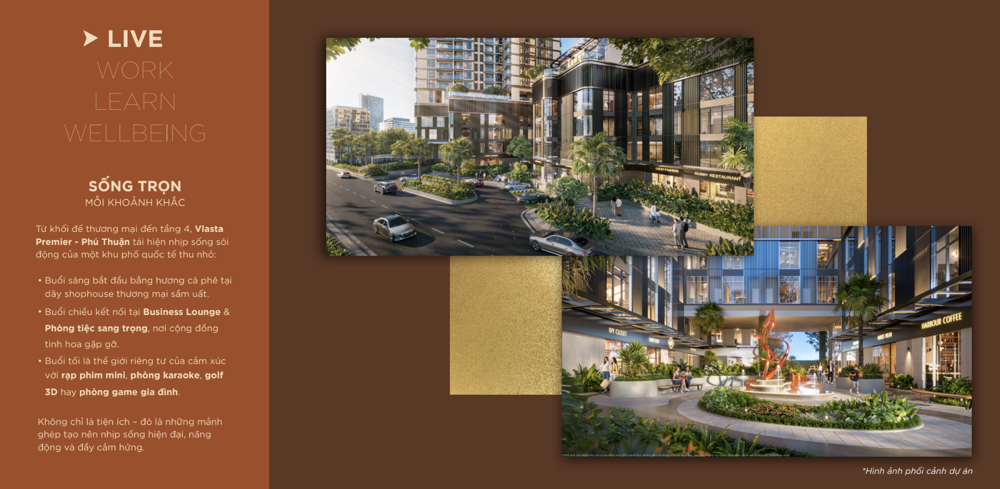 tiện ích Vlasta Premier